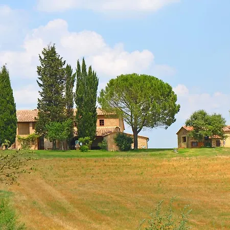 Senese * Buonconvento