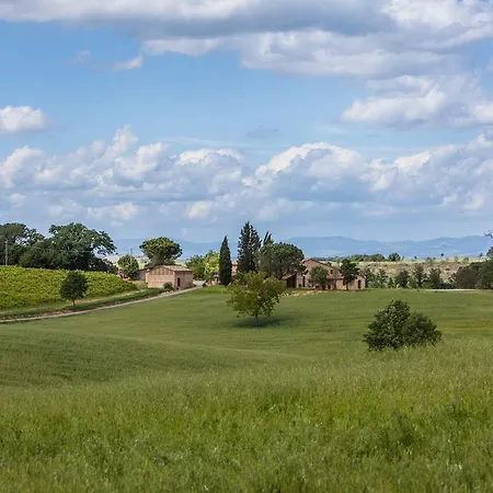 Senese Buonconvento